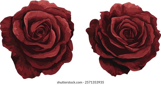 A pair of elegant watercolor roses in deep crimson hues, showcasing soft, flowing petals with subtle gradients for a realistic hand-painted look