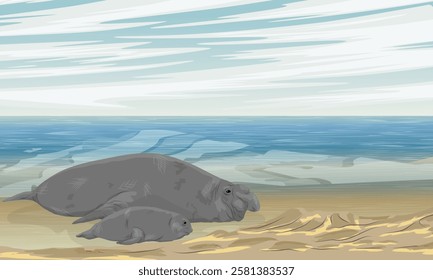 A pair of elephant seals resting in sandy shallow water. Realistic vector landscape