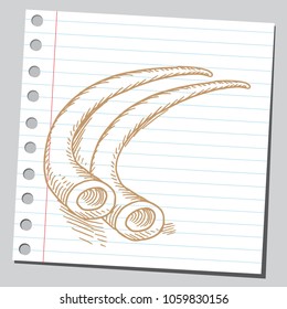 Pair of elephant's tusks