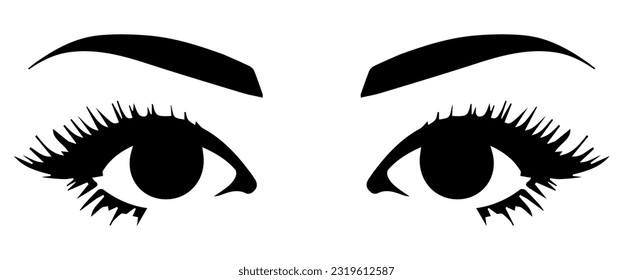 pair of eyes with eyebrows eyelashes vector graphic resources 