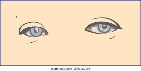 pair of eyes vector illustration