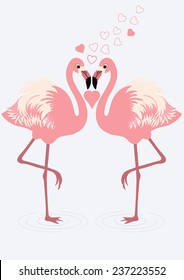 Pair of flamingos on blue background