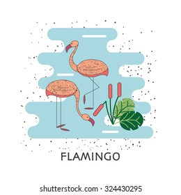 Pair of flamingos in various poses on a pond with plants. Vector illustration.