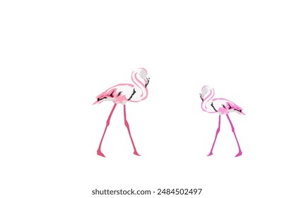 pair of flamingos without background