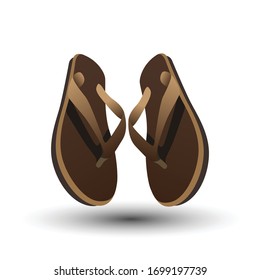 Pair of flip flops slippers vector image
