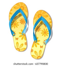 Pair of flip-flops isolated on a white background.