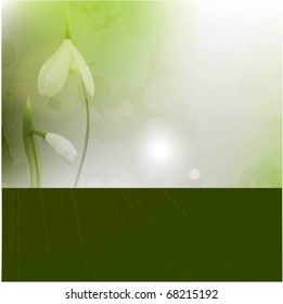 pair flowers vector spring background