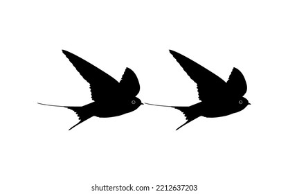 Pair of the Flying Swallow Bird Silhouette for Logo, Pictogram, Website. Art Illustration or Graphic Design Element. Vector Illustration