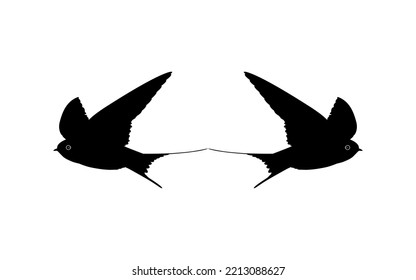 Pair of the Flying Swallow Bird Silhouette for Logo, Pictogram, Website. Art Illustration or Graphic Design Element. Vector Illustration