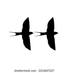 Pair of the Flying Swallow Bird Silhouette for Logo, Pictogram, Website. Art Illustration or Graphic Design Element. Vector Illustration