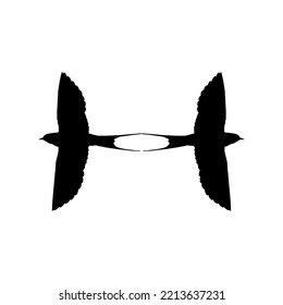 Pair of the Flying Swallow Bird Silhouette for Logo, Pictogram, Website. Art Illustration or Graphic Design Element. Vector Illustration