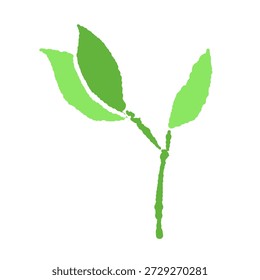 Pair of Fresh Green Sprouts Vector Illustration