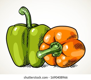 Pair of fresh sweet peppers, green and orange. Vegetable design element for farm market, vegetarian food recipe. Vector illustration isolated over white.