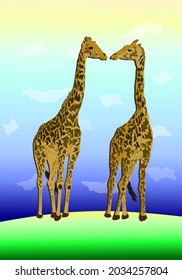 A pair of giraffes in love, who show their tenderness and warmth of feelings against the background of nature and a juicy sky.