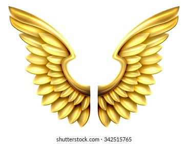 A pair of gold or golden shiny metal wings