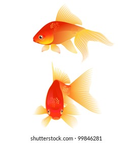 A pair of Goldfishes