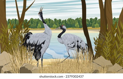 A pair of gray cranes dances on the shore of the lake. Realistic Vector Landscape