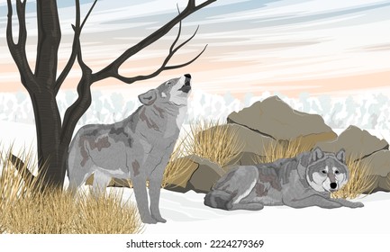 Paquete de lobos grises en invierno. El lobo aulló con la cabeza hacia arriba. Paisaje vectorial realista invernal