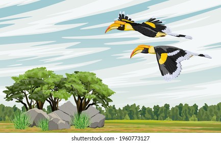 A pair of Great hornbill Buceros bicornis fly over a valley with rare trees and rocks. Realistic vector landscape