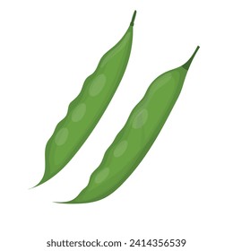 Pair of green bean pods isolated on white background. Healthy food print for farm market menu and recipes. Vector illustration