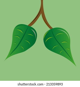 a pair of green leaves on a green background