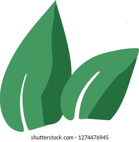Pair of green leaves vector illustration drawing sketch icon