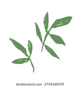Pair of Green Rose Leaves Vector