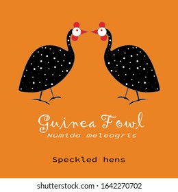 A pair of Guinea Fowl, facing each other, on orange color background. 
Lettering: Guinea Fowl, Numida meleagris, speckled hens. Unexpected Vector Illustration for cards, prints, textile and t-shirts.