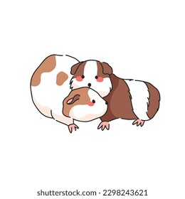 Pair of guinea pigs or hamsters. Vector isolated illustration.