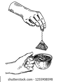 Pair of hands with a cup of tea and a tea bag. Sketch. Vector illustration