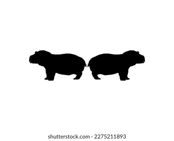 Pair of the Hippopotamus (Hippopotamus Amphibius) Silhouette for Logo, Art Illustration, Icon, Symbol, Pictogram or Graphic Design Element. Vector Illustration