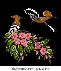 A pair of hoopoes on a cherry blossom branch