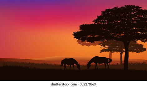 pair of horses grazing at sunset under trees - rural evening vector landscape