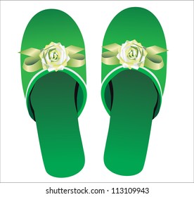 Pair of house slippers. Isolated on white background