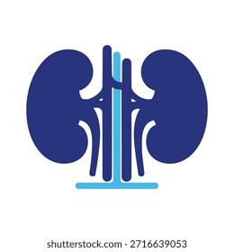 Pair of human kidneys vector illustration. Ideal for nephrology, renal health, and medical education materials. Clean flat design isolated on white background.