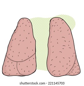 Pair of human lungs over green background