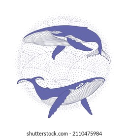 A pair of humpback whales on the waves emblem in very peri color