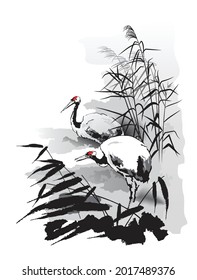 A pair of Japanese cranes are standing in a thicket of reeds. Vector illustration in traditional oriental style.