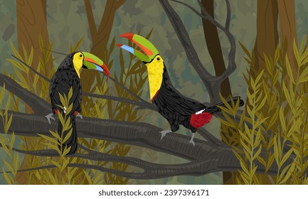 A pair of Keel-billed toucans sits on a branch in the thickets of tropical bushes in the jungle. Realistic vector landscape.