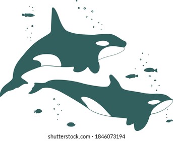 A pair of killer whales surrounded by fish. Silhouettes drawing. Vector.	
