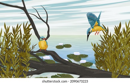 A pair of kingfishers sits on a branch on the shore of a large lake with white water lilies. Thickets of tall grass and clear blue skies. Realistic vector landscape