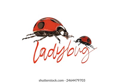 a pair of ladybugs without background