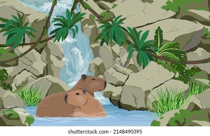 A pair of large capybaras are sitting in the water near a large tropical waterfall. Rodents of South America. Realistic vector landscape