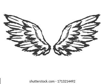 Pair of light wings. Hand drawn, vector, sketch image on white. Motives of angels, animals, birds, flights, ease, freedom, victory