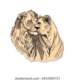 A pair of lion and lioness. Fashion illustration of predators. African animals, realistic hand drawing