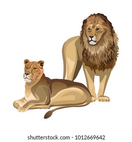 Pair of lions. Lioness lying down and male lion standing. Vector illustration isolated on the white background