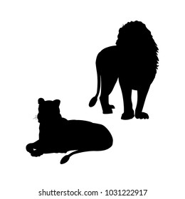 Pair of lions. Lioness lying down and male lion standing. Vector black silhouettes on white background