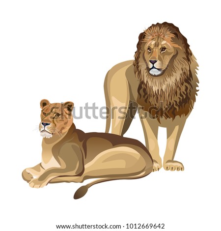 Free Free Lion And Lioness Svg 798 SVG PNG EPS DXF File