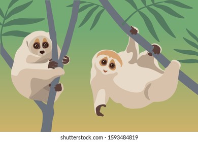 Pair of lorises climb trees. Cute loris hang on tree branch. Vector illustration. 