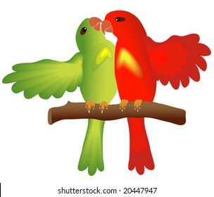 Pair of lovebirds parrots. Vector